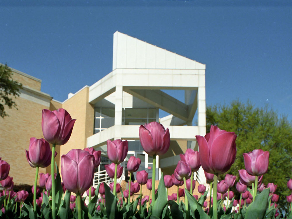 Home | Celebrating 100 Years of the Mary Couts Burnett Library